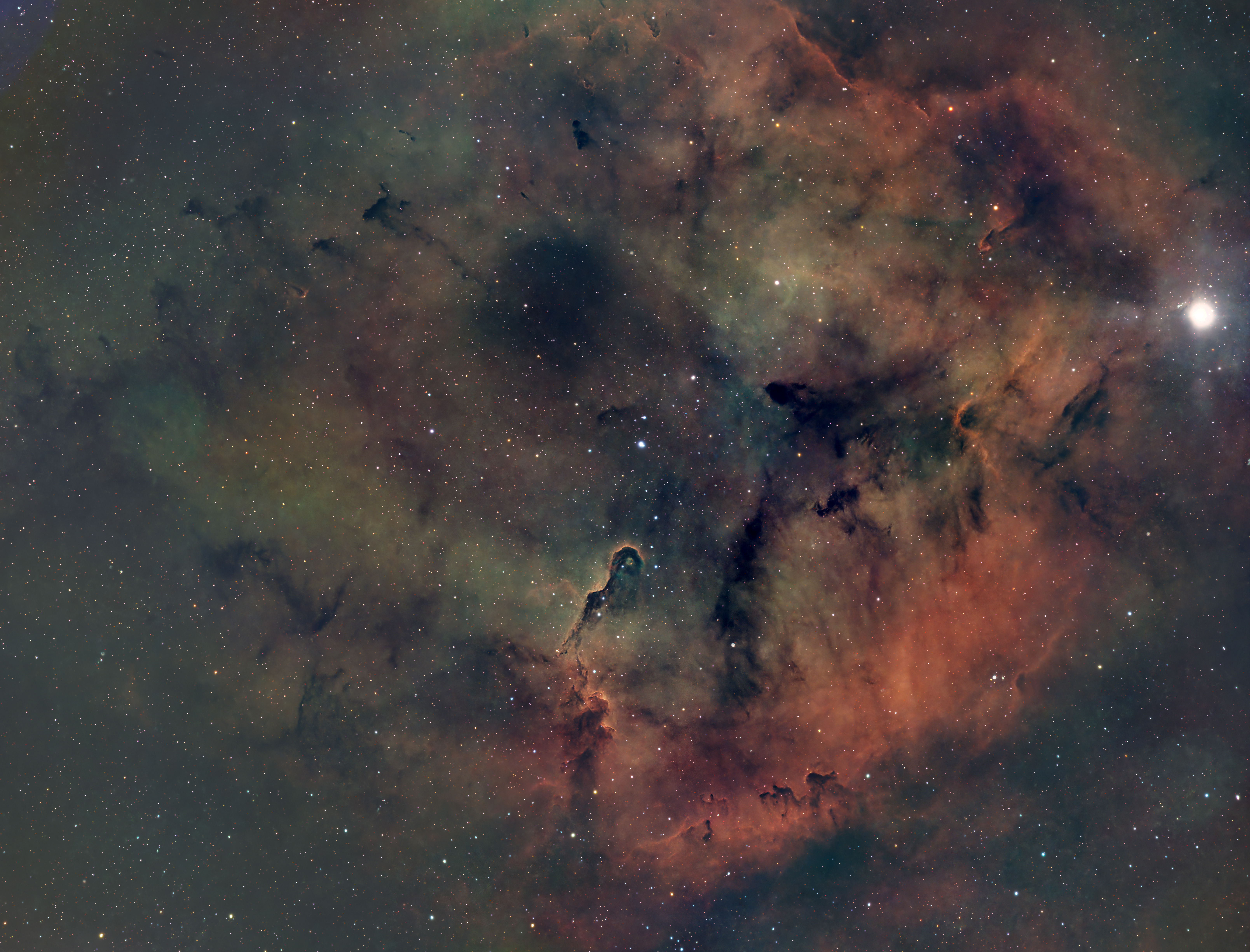 Wide-field view of the Elephant’s Trunk Nebula surrounded by dark dust lanes, glowing gas and dense star fields.