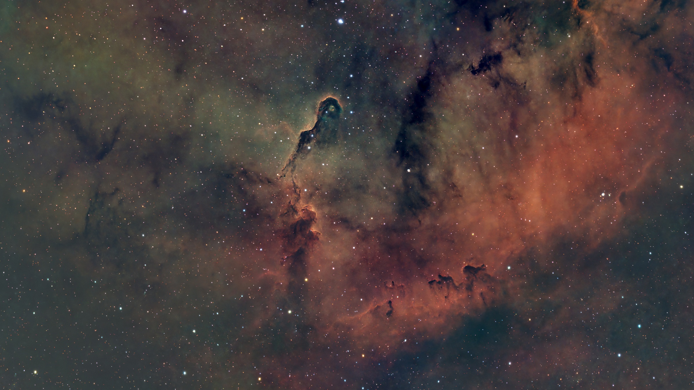 The Elephant's Trunk Nebula photographed from Marschapel Observatory.
