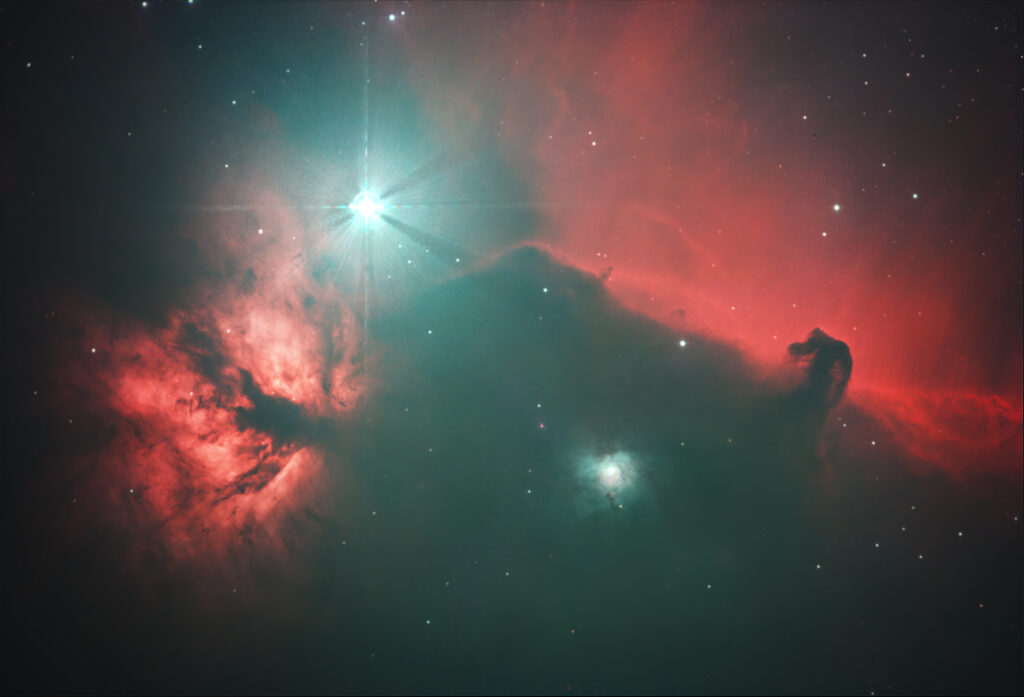 The dark Horsehead Nebula and glowing Flame Nebula surrounding the bright star Alnitak in Orion.