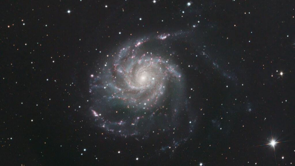 Face-on view of the Pinwheel Galaxy showing its bright core, spiral arms and pink star-forming regions.